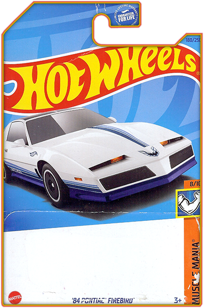 '84 Pontiac Firebird